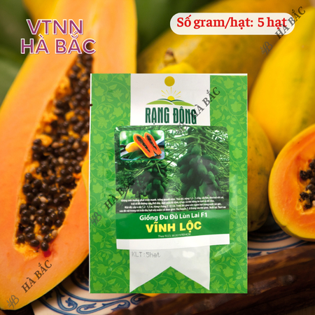 Hạt Giống Đu Đủ Lùn Lai F1 Vĩnh Lộc RADO (Gói 5 Hạt) Rạng Đông, Sinh Trưởng Khỏe, Năng Suất Cao