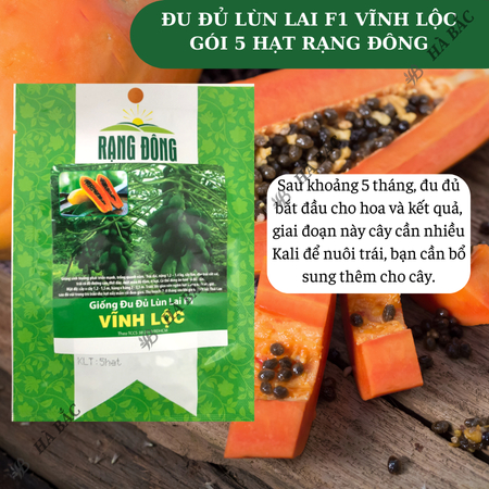 Hạt Giống Đu Đủ Lùn Lai F1 Vĩnh Lộc RADO (Gói 5 Hạt) Rạng Đông, Sinh Trưởng Khỏe, Năng Suất Cao