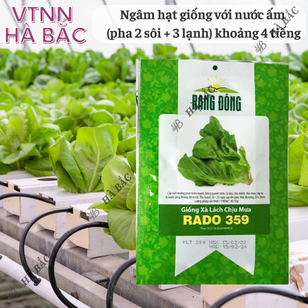 Hạt Giống Xà Lách Chịu Mưa RADO 359 (Gói 10g~5000 Hạt) Rạng Đông, Dễ Chăm Sóc, Nhanh Thu Hoạch