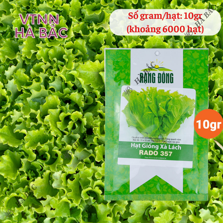 Hạt Giống Xà Lách RADO 357 (Gói 10g~6000 Hạt) Rạng Đông, Giống Xà Lách Dún Trồng Quanh Năm, Nhanh Thu Hoạch