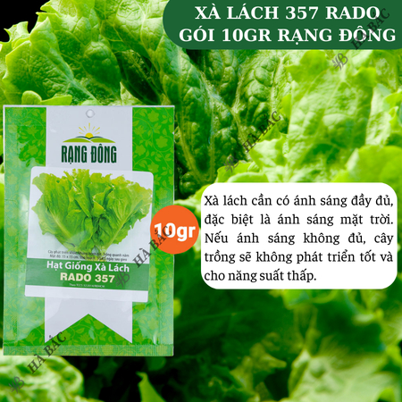 Hạt Giống Xà Lách RADO 357 (Gói 10g~6000 Hạt) Rạng Đông, Giống Xà Lách Dún Trồng Quanh Năm, Nhanh Thu Hoạch