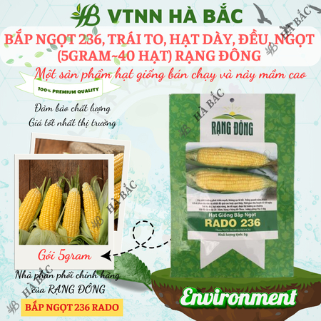 Hạt Giống Bắp Ngọt RADO 236 (Gói 5g~40 Hạt) Rạng Đông, Trái To, Ngọt, Trồng Quanh Năm