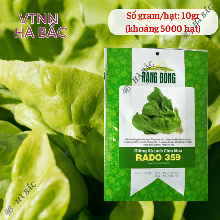 Hạt Giống Xà Lách Chịu Mưa RADO 359 (Gói 10g~5000 Hạt) Rạng Đông, Dễ Chăm Sóc, Nhanh Thu Hoạch