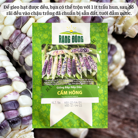 Hạt Giống Bắp Nếp Dẻo Cẩm Hồng RADO (Gói 5g~30 Hạt) Rạng Đông, Trái To, Hạt Dẻo, Rất Thơm, Dễ Gieo Trồng
