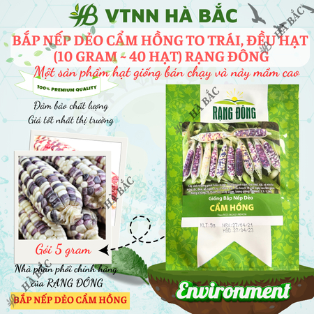 Hạt Giống Bắp Nếp Dẻo Cẩm Hồng RADO (Gói 5g~30 Hạt) Rạng Đông, Trái To, Hạt Dẻo, Rất Thơm, Dễ Gieo Trồng