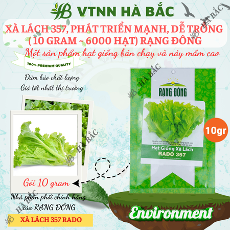 Hạt Giống Xà Lách RADO 357 (Gói 10g~6000 Hạt) Rạng Đông, Giống Xà Lách Dún Trồng Quanh Năm, Nhanh Thu Hoạch
