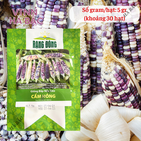 Hạt Giống Bắp Nếp Dẻo Cẩm Hồng RADO (Gói 5g~30 Hạt) Rạng Đông, Trái To, Hạt Dẻo, Rất Thơm, Dễ Gieo Trồng
