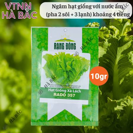 Hạt Giống Xà Lách RADO 357 (Gói 10g~6000 Hạt) Rạng Đông, Giống Xà Lách Dún Trồng Quanh Năm, Nhanh Thu Hoạch