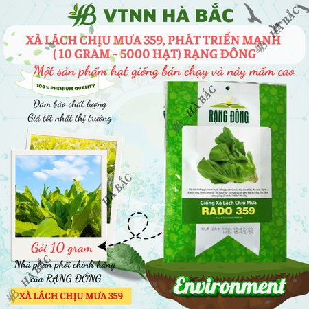 Hạt Giống Xà Lách Chịu Mưa RADO 359 (Gói 10g~5000 Hạt) Rạng Đông, Dễ Chăm Sóc, Nhanh Thu Hoạch