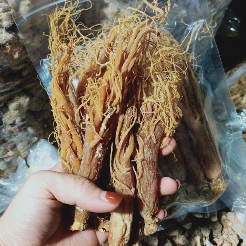 500GR Nhị Hồng Sâm, Sâm Râu, Nhân Sâm Sấy Dẻo Nguyên Chất Hàng Chất Lượng