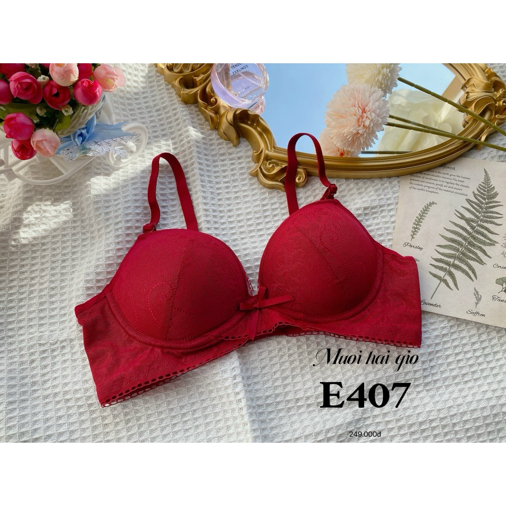Áo ngực mút vừa đệm bàn tay nâng đỡ ngực E407, Đồ lót 12h