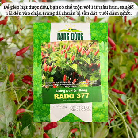 Hạt Giống Ớt Xiêm Rừng RADO 377 (Gói 0,2g~30 Hạt) Rạng Đông, Siêu Cay, Trái Sai, Sinh Trưởng Khỏe, Trồng Quanh Năm