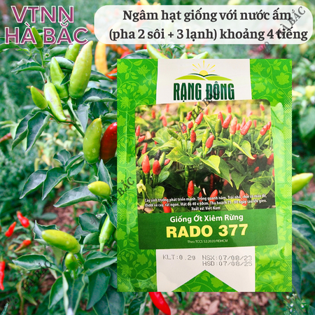 Hạt Giống Ớt Xiêm Rừng RADO 377 (Gói 0,2g~30 Hạt) Rạng Đông, Siêu Cay, Trái Sai, Sinh Trưởng Khỏe, Trồng Quanh Năm