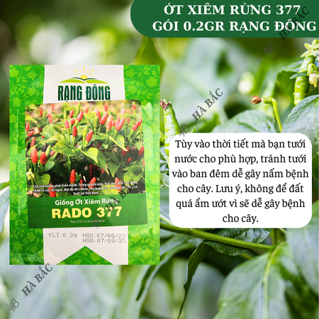 Hạt Giống Ớt Xiêm Rừng RADO 377 (Gói 0,2g~30 Hạt) Rạng Đông, Siêu Cay, Trái Sai, Sinh Trưởng Khỏe, Trồng Quanh Năm