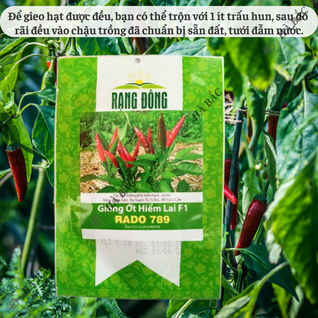Hạt Giống Ớt Hiểm Lai F1 RADO 789 (Gói 0,2g~40 Hạt) Rạng Đông, Siêu Cay, Siêu Trái, Cây Khỏe, Trồng Quanh Năm