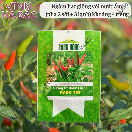 Hạt Giống Ớt Hiểm Lai F1 RADO 789 (Gói 0,2g~40 Hạt) Rạng Đông, Siêu Cay, Siêu Trái, Cây Khỏe, Trồng Quanh Năm