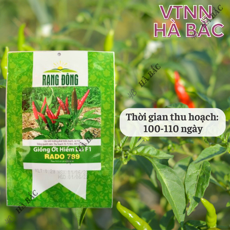 Hạt Giống Ớt Hiểm Lai F1 RADO 789 (Gói 0,2g~40 Hạt) Rạng Đông, Siêu Cay, Siêu Trái, Cây Khỏe, Trồng Quanh Năm