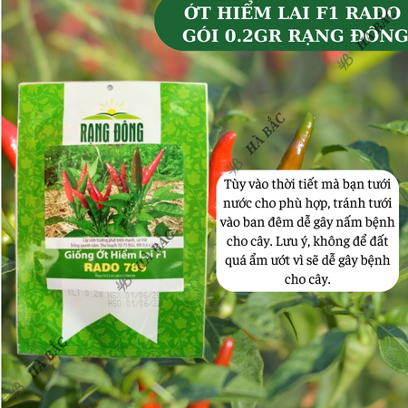 Hạt Giống Ớt Hiểm Lai F1 RADO 789 (Gói 0,2g~40 Hạt) Rạng Đông, Siêu Cay, Siêu Trái, Cây Khỏe, Trồng Quanh Năm