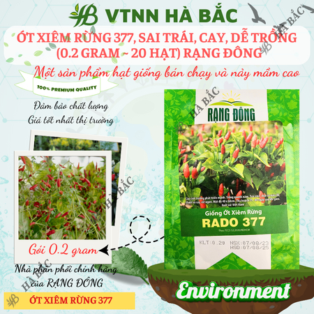 Hạt Giống Ớt Xiêm Rừng RADO 377 (Gói 0,2g~30 Hạt) Rạng Đông, Siêu Cay, Trái Sai, Sinh Trưởng Khỏe, Trồng Quanh Năm