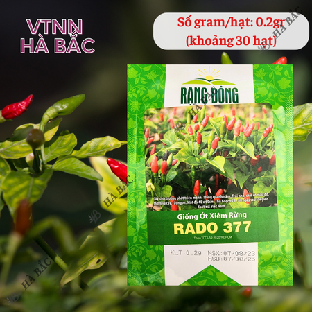 Hạt Giống Ớt Xiêm Rừng RADO 377 (Gói 0,2g~30 Hạt) Rạng Đông, Siêu Cay, Trái Sai, Sinh Trưởng Khỏe, Trồng Quanh Năm