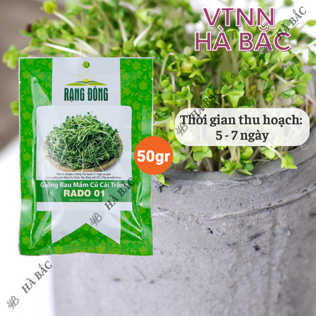Hạt Giống Rau Mầm Củ Cải Trắng RADO 01 (Gói 50g~3000 Hạt) Rạng Đông, Nảy Mầm Đồng Đều, Nhanh Thu Hoạch