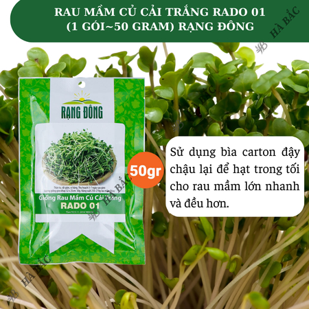 Hạt Giống Rau Mầm Củ Cải Trắng RADO 01 (Gói 50g~3000 Hạt) Rạng Đông, Nảy Mầm Đồng Đều, Nhanh Thu Hoạch