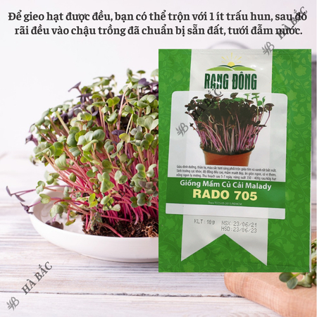 Hạt Giống Mầm Củ Cải Malady RADO 705 (Gói 10g~200 Hạt) Rạng Đông, Dễ Trồng, Nhanh Thu Hoạch