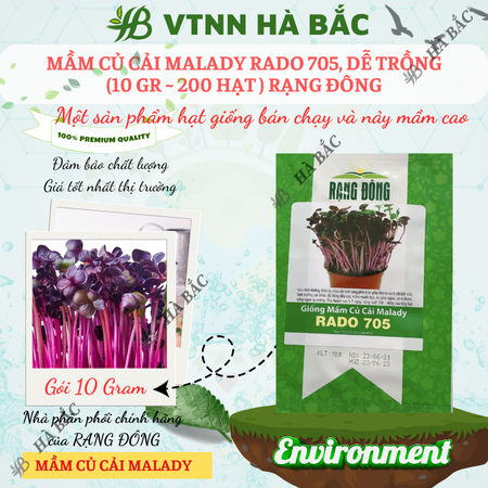 Hạt Giống Mầm Củ Cải Malady RADO 705 (Gói 10g~200 Hạt) Rạng Đông, Dễ Trồng, Nhanh Thu Hoạch