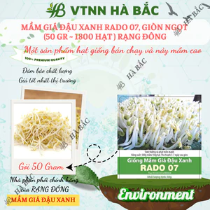 Hạt Giống Mầm Giá Đậu Xanh RADO 07 (Gói 50g~1800 Hạt) Rạng Đông, Dễ Trồng, Nhanh Thu Hoạch, Giàu Dinh Dưỡng