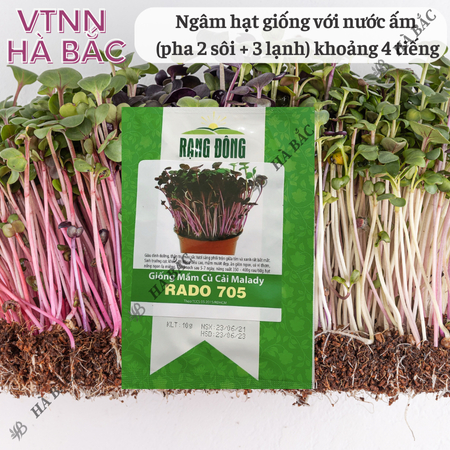 Hạt Giống Mầm Củ Cải Malady RADO 705 (Gói 10g~200 Hạt) Rạng Đông, Dễ Trồng, Nhanh Thu Hoạch