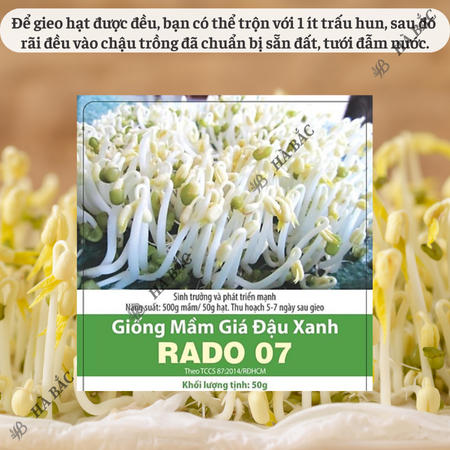 Hạt Giống Mầm Giá Đậu Xanh RADO 07 (Gói 50g~1800 Hạt) Rạng Đông, Dễ Trồng, Nhanh Thu Hoạch, Giàu Dinh Dưỡng