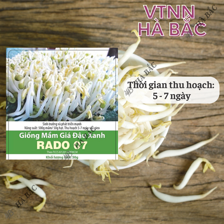 Hạt Giống Mầm Giá Đậu Xanh RADO 07 (Gói 50g~1800 Hạt) Rạng Đông, Dễ Trồng, Nhanh Thu Hoạch, Giàu Dinh Dưỡng