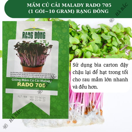 Hạt Giống Mầm Củ Cải Malady RADO 705 (Gói 10g~200 Hạt) Rạng Đông, Dễ Trồng, Nhanh Thu Hoạch