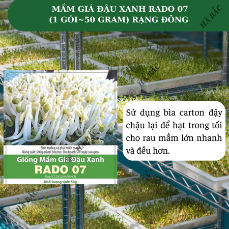 Hạt Giống Mầm Giá Đậu Xanh RADO 07 (Gói 50g~1800 Hạt) Rạng Đông, Dễ Trồng, Nhanh Thu Hoạch, Giàu Dinh Dưỡng