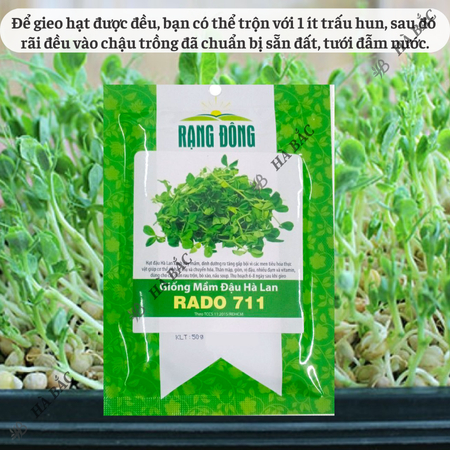 Hạt Giống Mầm Đậu Hà Lan RADO 711 (Gói 50g~400 Hạt) Rạng Đông, Giòn Ngọt, Nhanh Thu Hoạch, Giàu Dinh Dưỡng