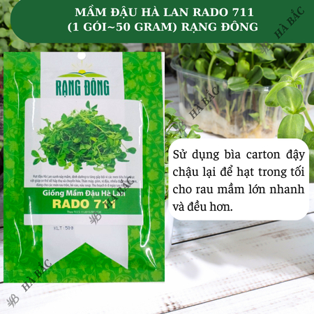 Hạt Giống Mầm Đậu Hà Lan RADO 711 (Gói 50g~400 Hạt) Rạng Đông, Giòn Ngọt, Nhanh Thu Hoạch, Giàu Dinh Dưỡng