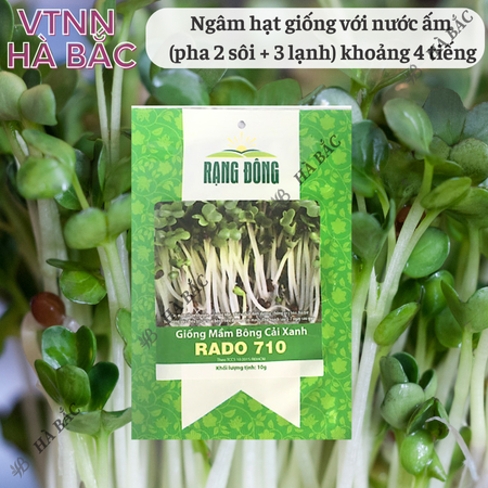 Hạt Giống Mầm Bông Cải Xanh RADO 710 (Gói 10g~1500 Hạt) Rạng Đông, Dễ Trồng, Nhanh Thu Hoạch, Giàu Dinh Dưỡng
