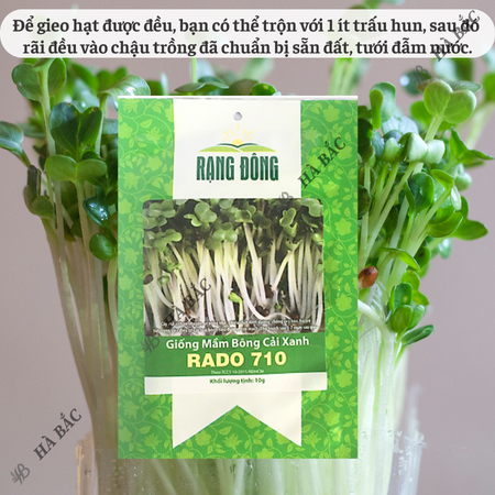 Hạt Giống Mầm Bông Cải Xanh RADO 710 (Gói 10g~1500 Hạt) Rạng Đông, Dễ Trồng, Nhanh Thu Hoạch, Giàu Dinh Dưỡng