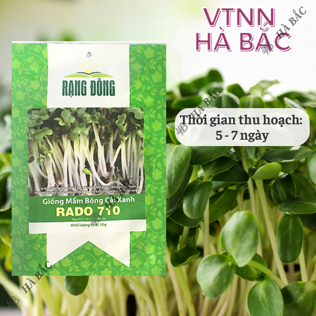 Hạt Giống Mầm Bông Cải Xanh RADO 710 (Gói 10g~1500 Hạt) Rạng Đông, Dễ Trồng, Nhanh Thu Hoạch, Giàu Dinh Dưỡng