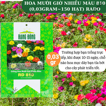 Hạt Giống Hoa Mười Giờ Nhiều Màu RADO 810 (Gói 0,03g~150 Hạt) Rạng Đông, Ra Hoa Liên Tục, Trồng Quanh Năm