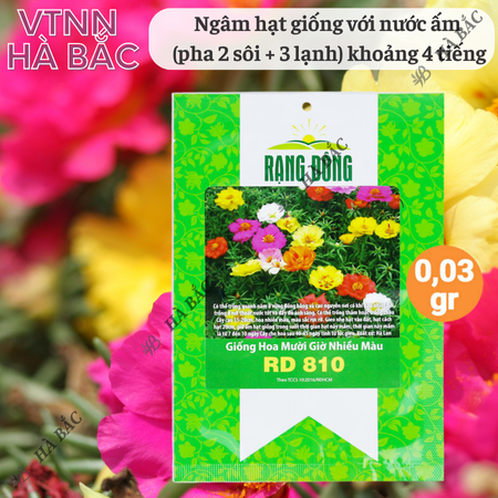Hạt Giống Hoa Mười Giờ Nhiều Màu RADO 810 (Gói 0,03g~150 Hạt) Rạng Đông, Ra Hoa Liên Tục, Trồng Quanh Năm