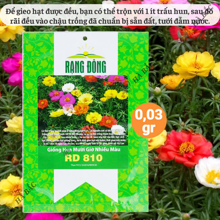 Hạt Giống Hoa Mười Giờ Nhiều Màu RADO 810 (Gói 0,03g~150 Hạt) Rạng Đông, Ra Hoa Liên Tục, Trồng Quanh Năm