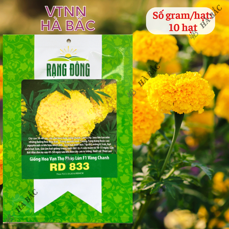 Hạt Giống Hoa Vạn Thọ Pháp Lùn F1 Vàng Chanh RADO 833 (Gói 10 Hạt) Rạng Đông, Hoa To Tròn, Cao Tầm 30-40cm