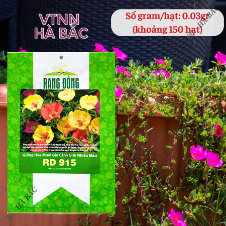 Hạt Giống Hoa Mười Giờ Cánh Đơn Nhiều Màu RADO 915 (Gói 0,03g~150 Hạt) Rạng Đông, Dễ Chăm, Hoa Ra Liên Tục