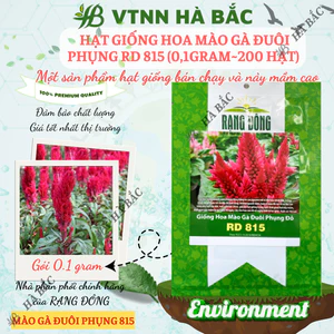 Hạt Giống Hoa Mào Gà Đuôi Phụng RADO 815 (Gói 0,1g~200 Hạt) Rạng Đông, Chuẩn Giống Cho Hoa Mùa Tết, Dễ Chăm Sóc