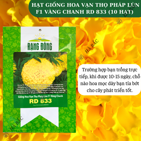 Hạt Giống Hoa Vạn Thọ Pháp Lùn F1 Vàng Chanh RADO 833 (Gói 10 Hạt) Rạng Đông, Hoa To Tròn, Cao Tầm 30-40cm