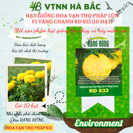 Hạt Giống Hoa Vạn Thọ Pháp Lùn F1 Vàng Chanh RADO 833 (Gói 10 Hạt) Rạng Đông, Hoa To Tròn, Cao Tầm 30-40cm