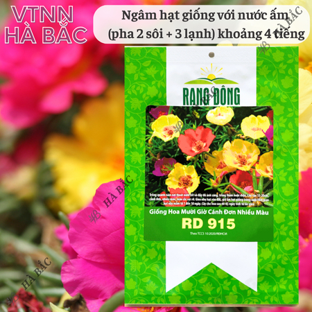 Hạt Giống Hoa Mười Giờ Cánh Đơn Nhiều Màu RADO 915 (Gói 0,03g~150 Hạt) Rạng Đông, Dễ Chăm, Hoa Ra Liên Tục