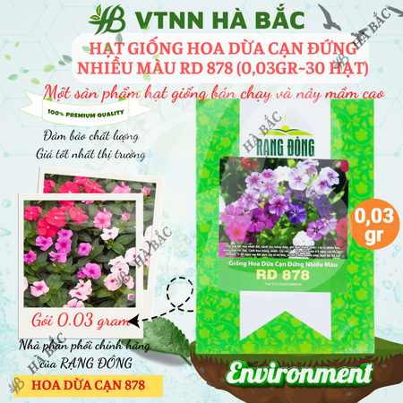 Hạt Giống Hoa Dừa Cạn Đứng Nhiều Màu RADO 878 (Gói 0,03g~30 Hạt) Rạng Đông, Thích Hợp Trồng Sân Vườn, Trồng Chậu