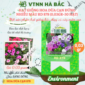 Hạt Giống Hoa Dừa Cạn Đứng Nhiều Màu RADO 878 (Gói 0,03g~30 Hạt) Rạng Đông, Thích Hợp Trồng Sân Vườn, Trồng Chậu